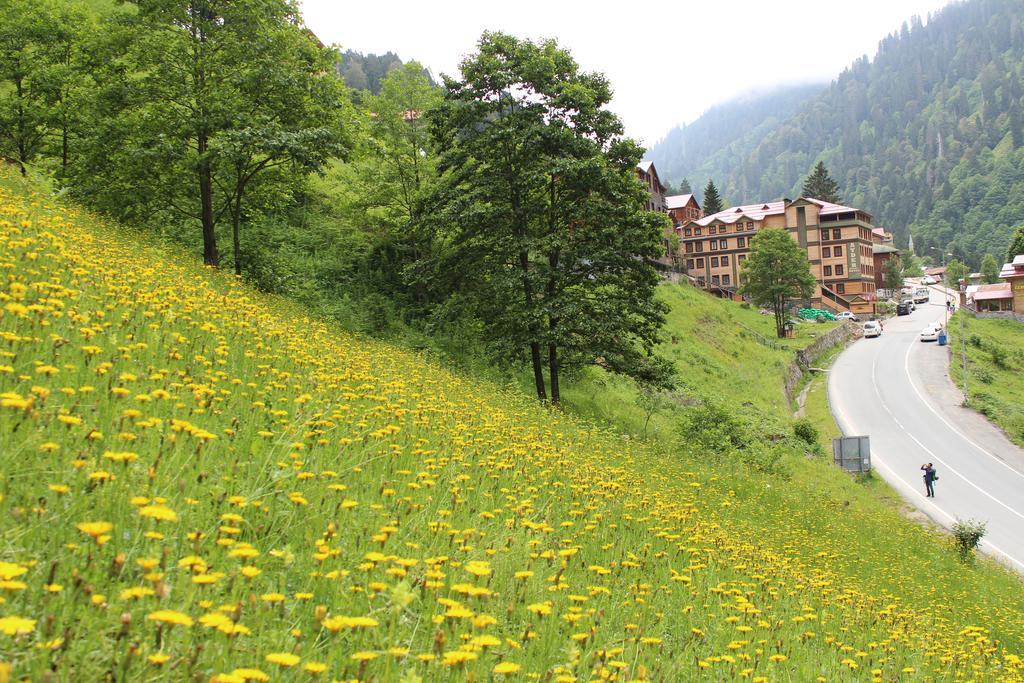 Ayder Resort Hotel Rize Exterior foto